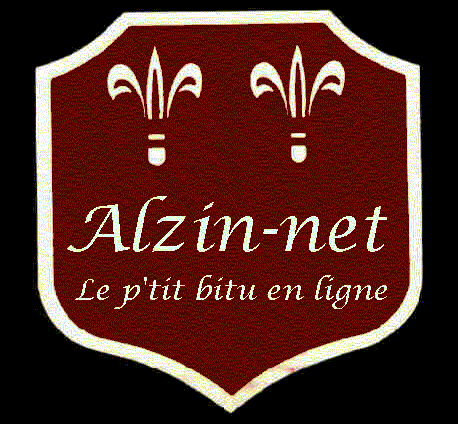 Alzin-net, le p'tit bitu en ligne